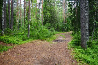 Similar image 22336072