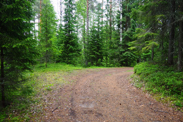 Similar image 22336073