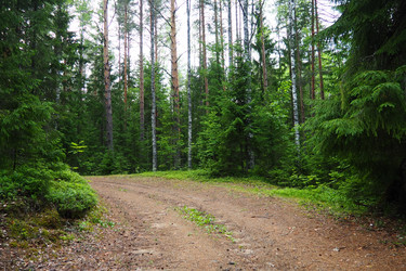 Similar image 22336074