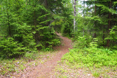 Similar image 22336075