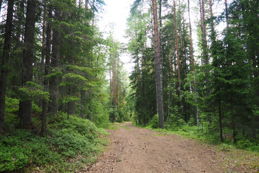 Similar image 22336076