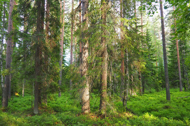 Similar image 22336077