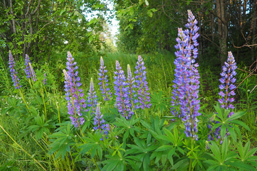 Similar image 22336079