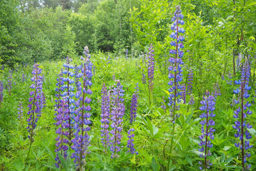 Similar image 22336080