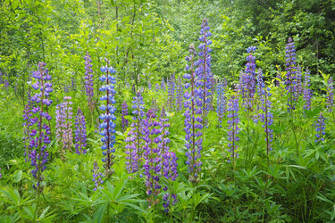 Similar image 22336081