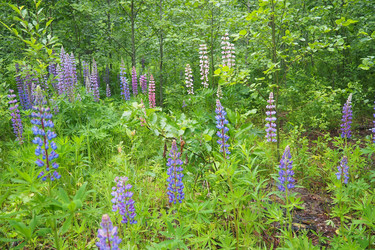 Similar image 22336082