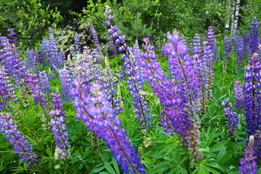 Similar image 22336084