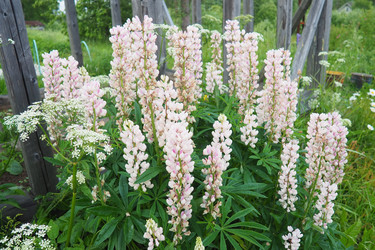 Similar image 22336085