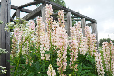 Similar image 22336086