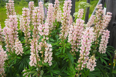 Similar image 22336087