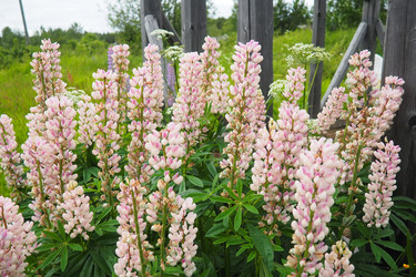 Similar image 22336088