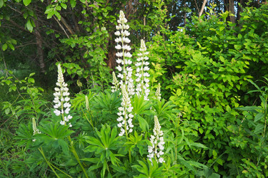 Similar image 22336090