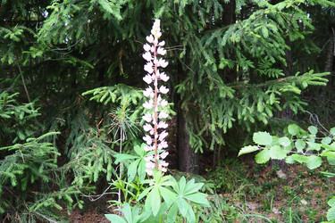 Similar image 22336091