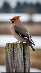 Similar image 22335471