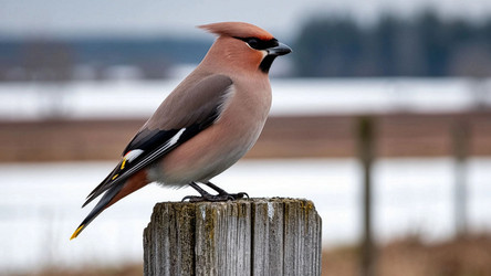 Similar image 22333596