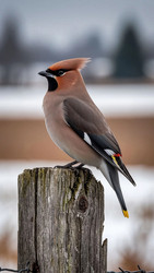 Similar image 22335477