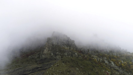 Similar image 22335905