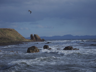 Similar image 22333602