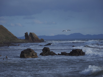 Similar image 22333603