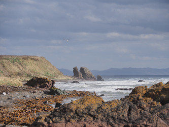 Similar image 22333607