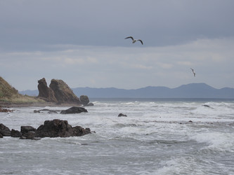 Similar image 22333612