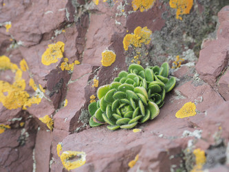 Similar image 22333618