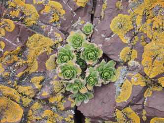 Similar image 22333619