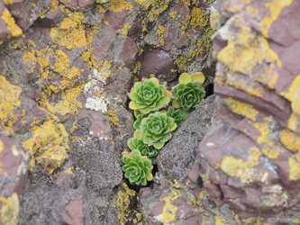 Similar image 22333620