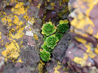 Similar image 22333623