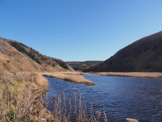 Similar image 22333625