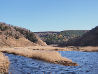 Similar image 22333626