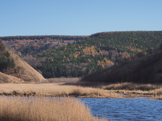 Similar image 22333627