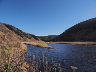 Similar image 22333628