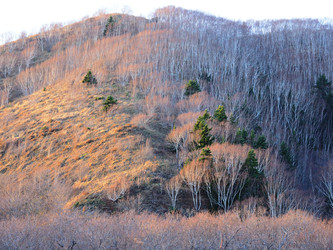 Similar image 22333639