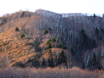 Similar image 22333640