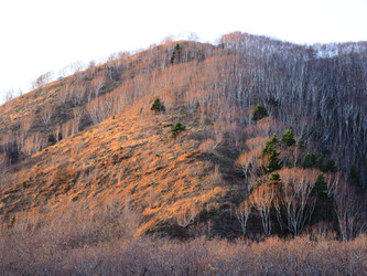 Similar image 22333641