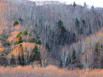 Similar image 22333642