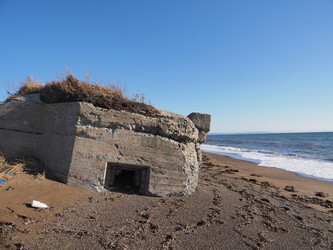 Similar image 22333645