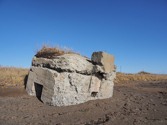 Similar image 22333647