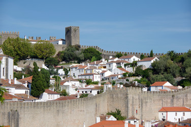 Similar image 22339732