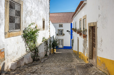 Similar image 22339733