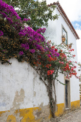 Similar image 22339741