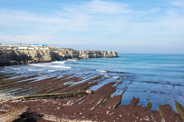 Similar image 22339751