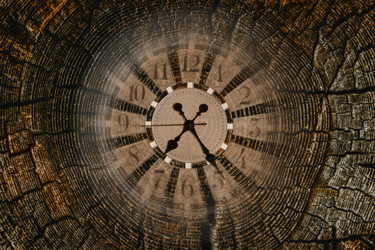 Similar image 22333655