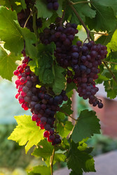 Similar image 22333656