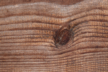 Similar image 22333661