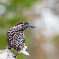 Similar image 22333666