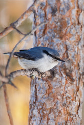 Similar image 22333667