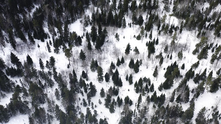 Similar image 22335912