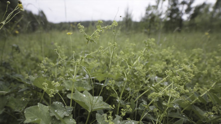 Similar image 22335919